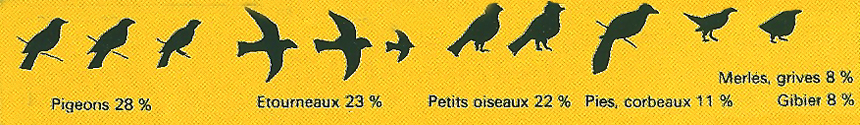 alimentation